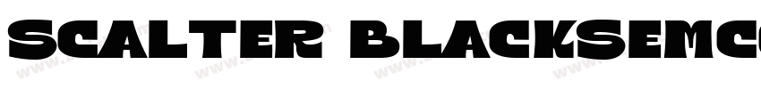 Scalter BlackSemCond字体转换 Scalter BlackSemCond字体转换